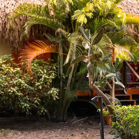 Mondi Lodge Dorp Dorp Sint Michiel Екстериор снимка