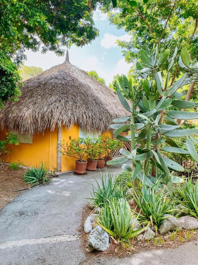 Mondi Lodge Dorp Dorp Sint Michiel Екстериор снимка
