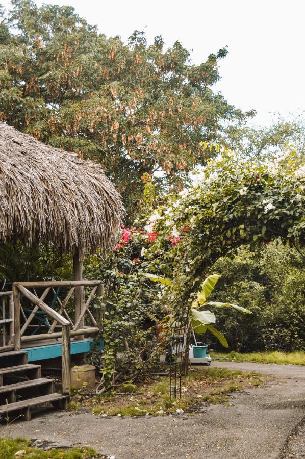 Mondi Lodge Dorp Dorp Sint Michiel Екстериор снимка