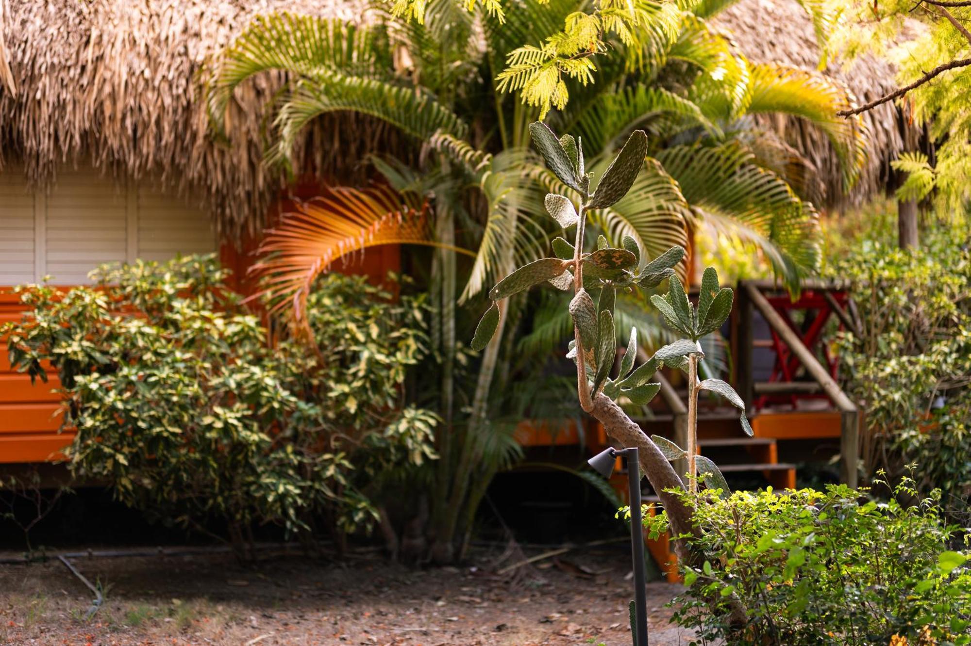 Mondi Lodge Dorp Dorp Sint Michiel Екстериор снимка