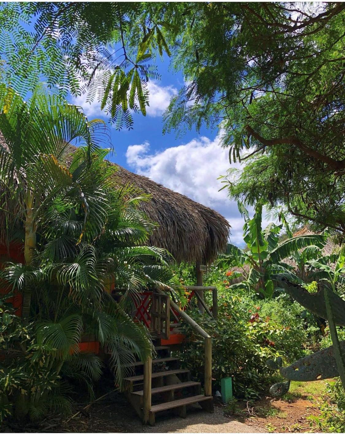 Mondi Lodge Dorp Dorp Sint Michiel Екстериор снимка